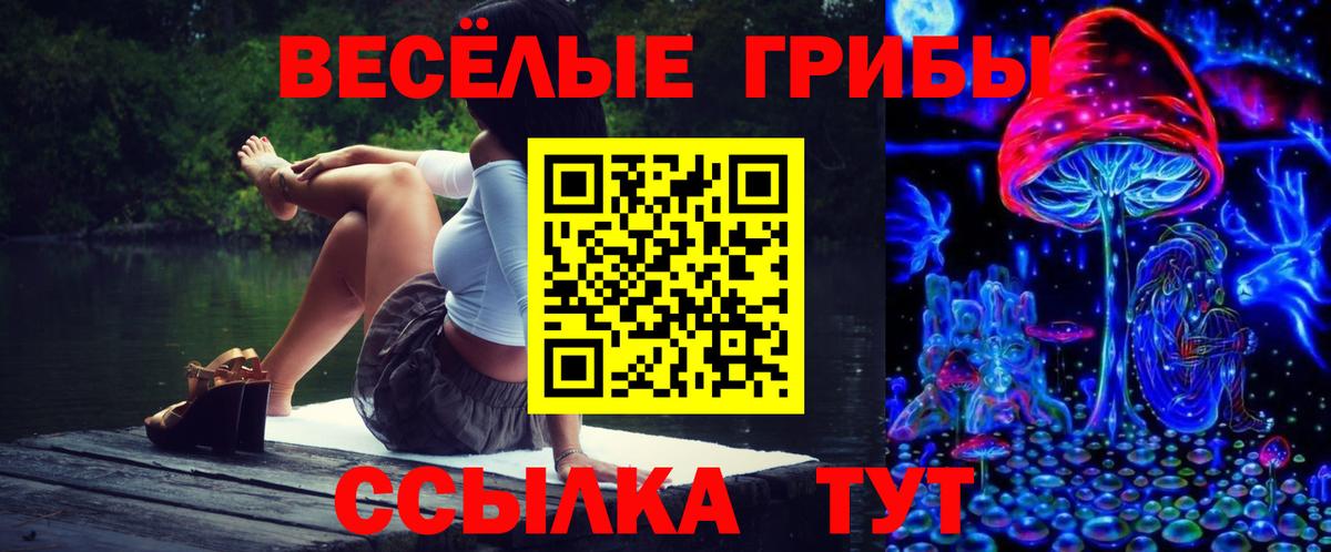 Галлюциногенные грибы Psilocybe Тара