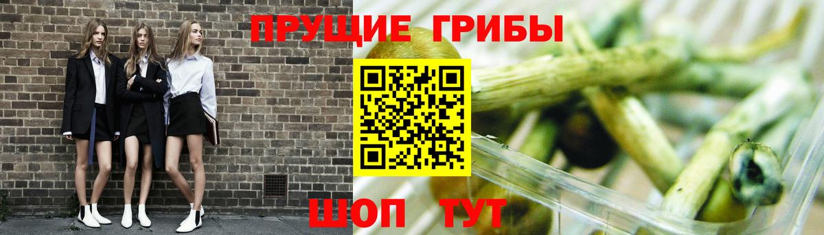 Псилоцибиновые грибы Psilocybine cubensis  Псилоцибиновые грибы Magic Shrooms  Тара  Вход с VPN 